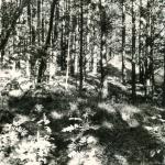 Degučių piliakalnis. J. Nemanio nuotrauka, 1975 m.